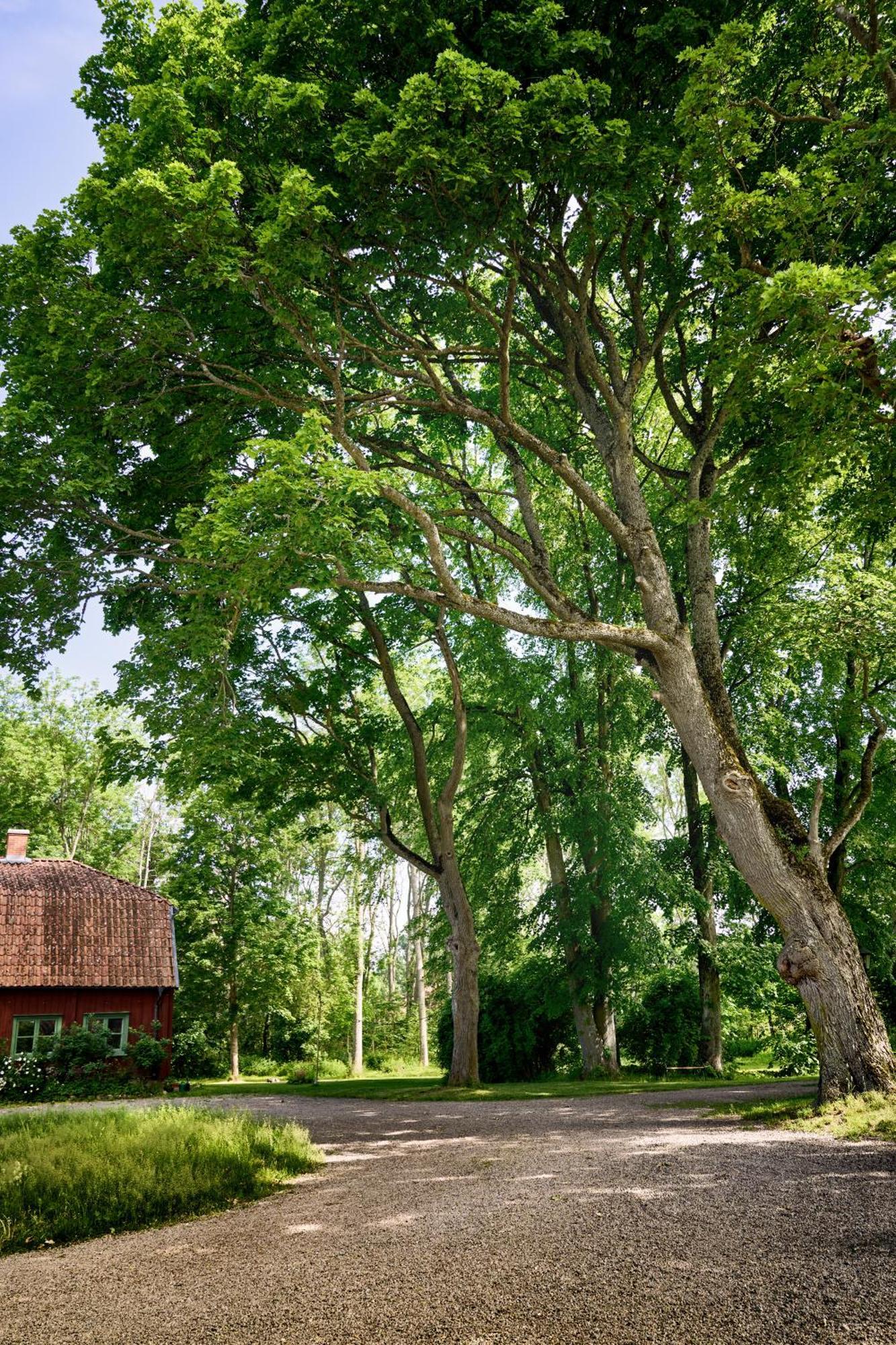 Kungs Starby Gard Bed And Breakfast 瓦斯泰纳 外观 照片